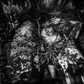 Grub Nap – God Pile