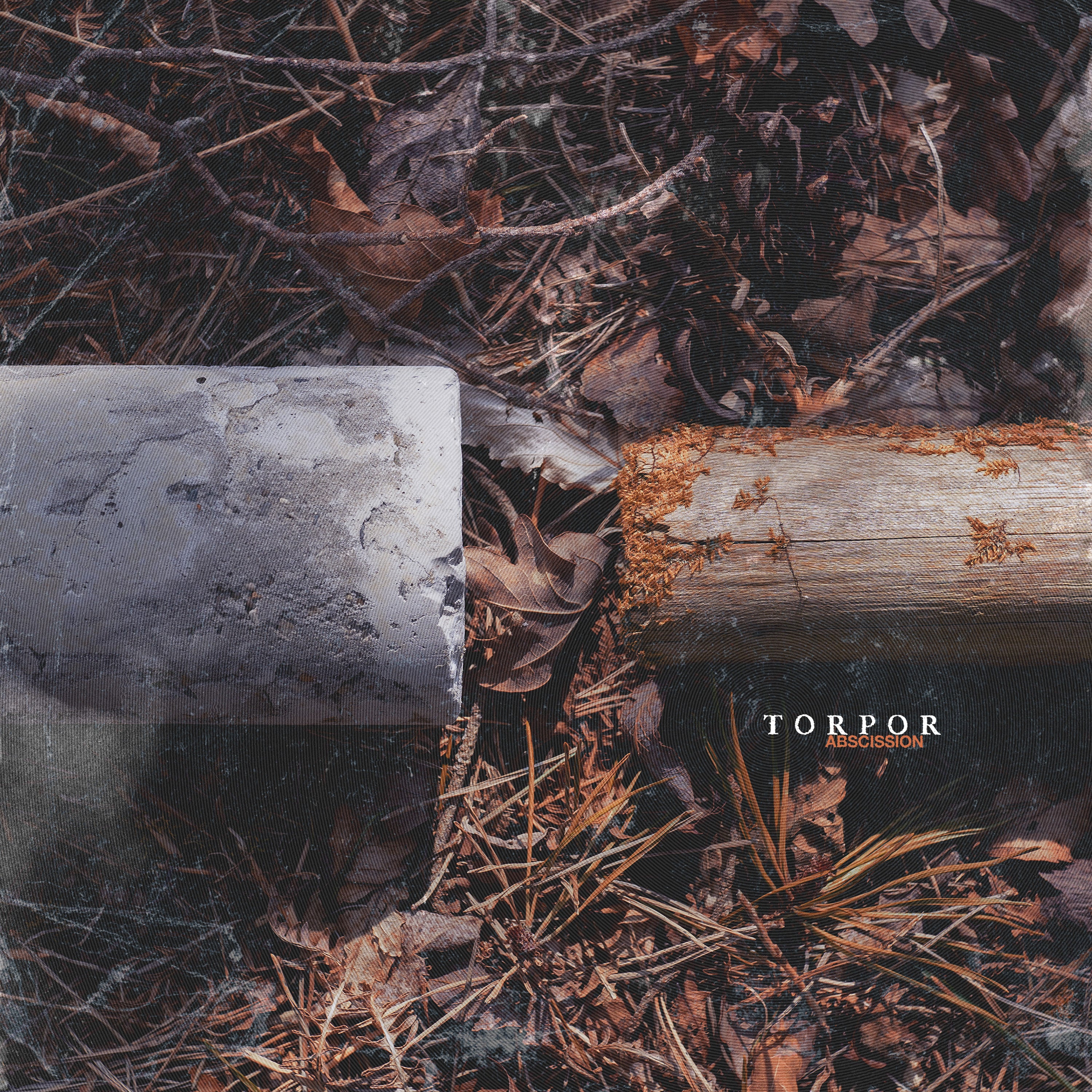 Torpor – Abscission