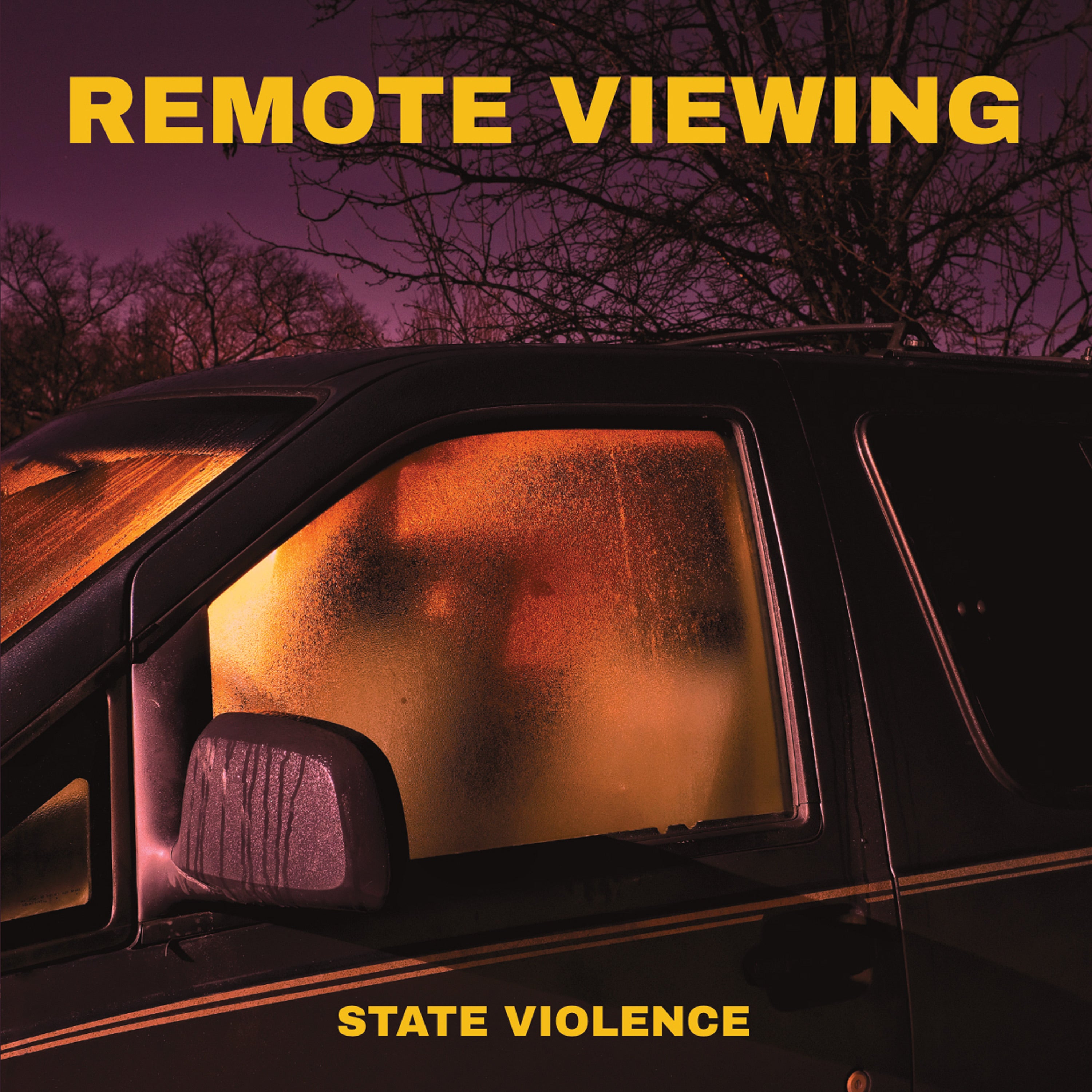 PRE-ORDER: Remote Viewing – State Violence