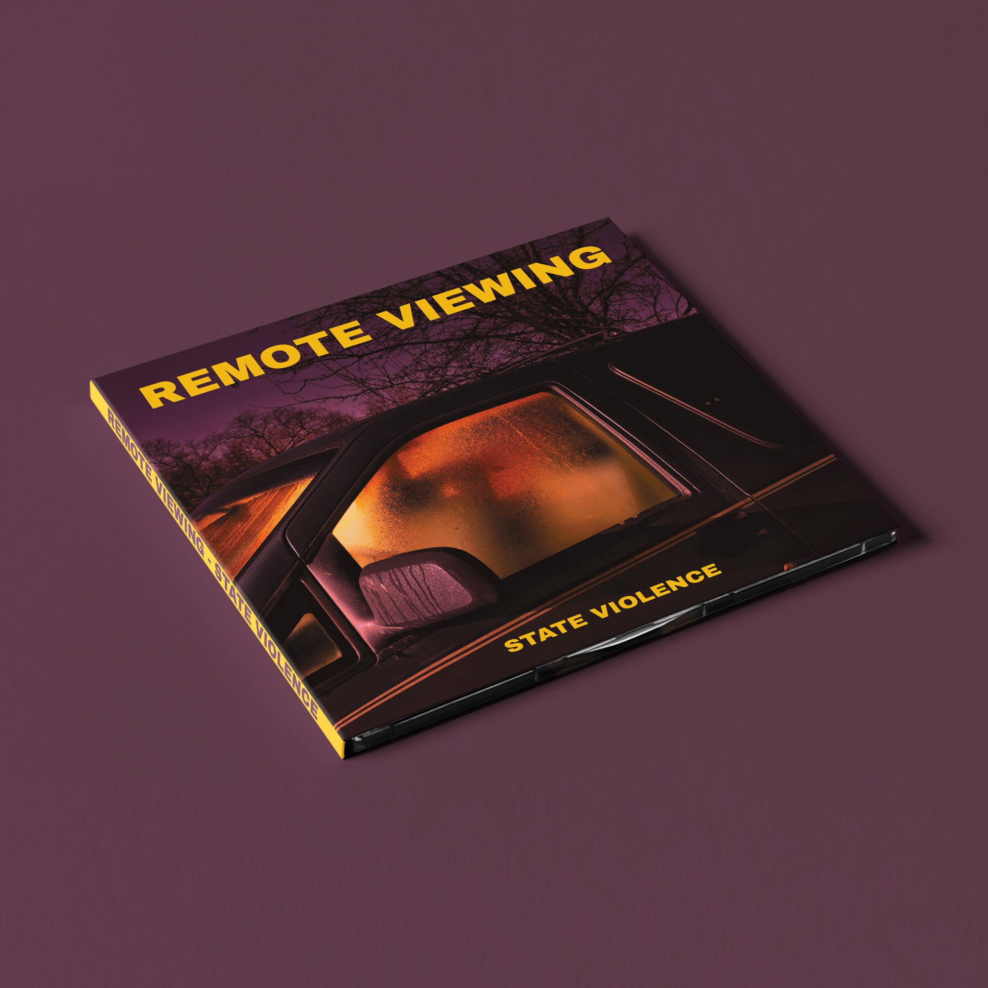 PRE-ORDER: Remote Viewing – State Violence